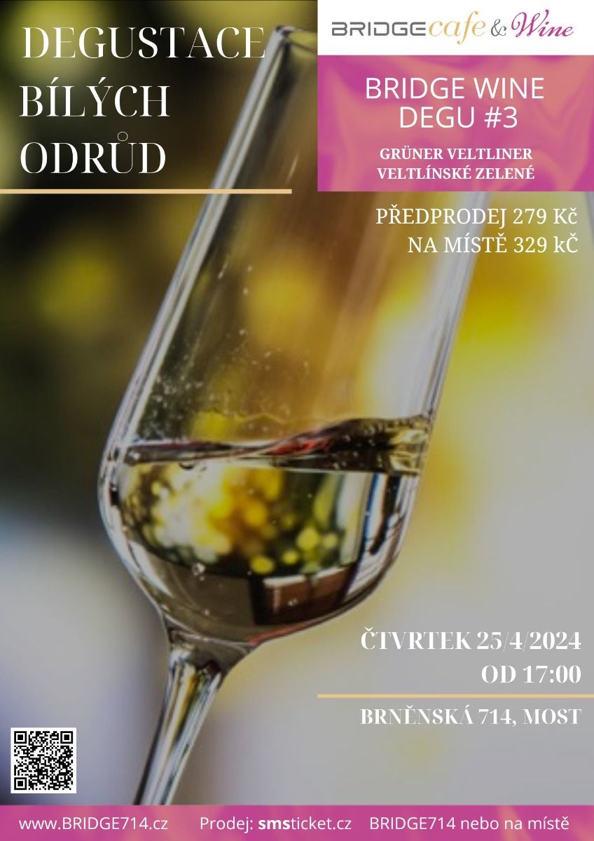 BRIDGE Wine - Degustace odrůdy Grüner Veltliner - Veltlínské zelené - dne 25.4.2024